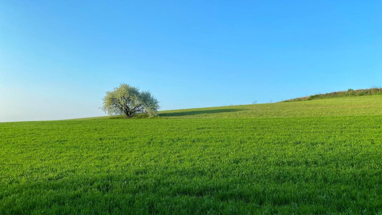 Agriturismo Albana Castiglione Delle Stiviere Buitenkant foto